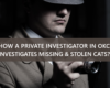Investigates Missing & Stolen Cats