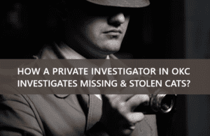 Investigates Missing & Stolen Cats