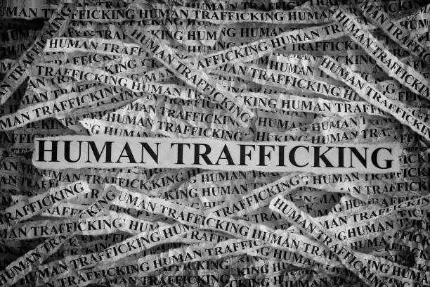 Human Trafficking Private Investigator
