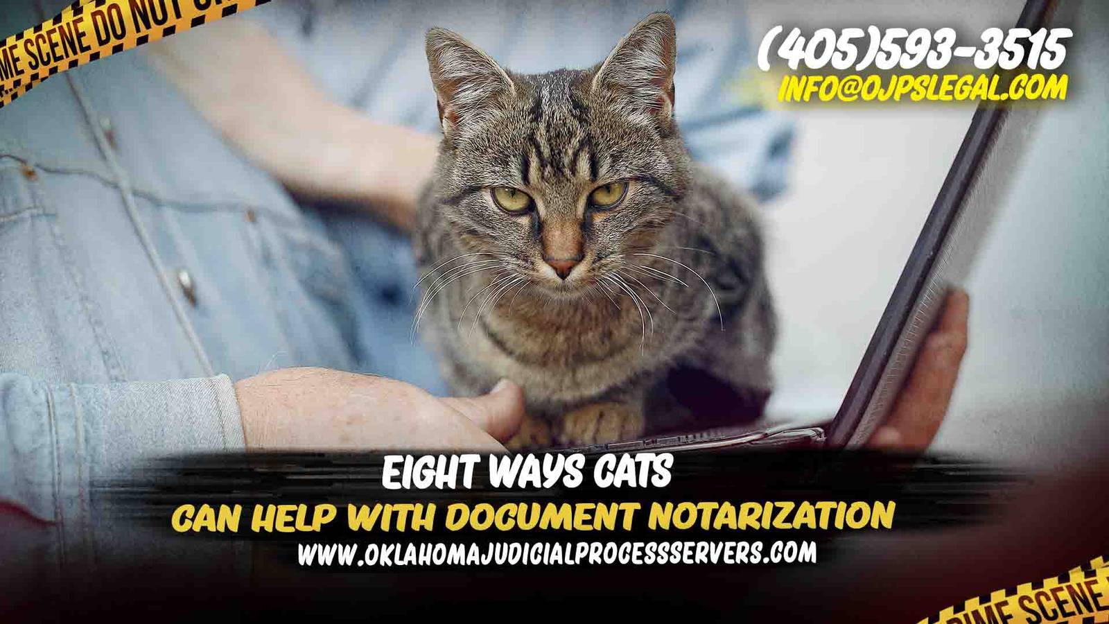 Cats Can Help with Document Notarization